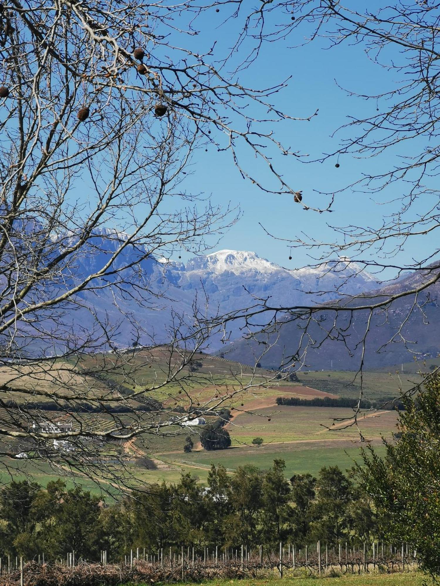 Willa Gemoedsrus Farm Stellenbosch Zewnętrze zdjęcie